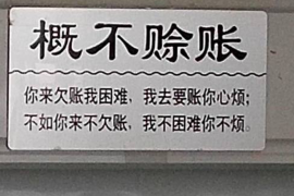 北湖北湖的要账公司在催收过程中的策略和技巧有哪些？